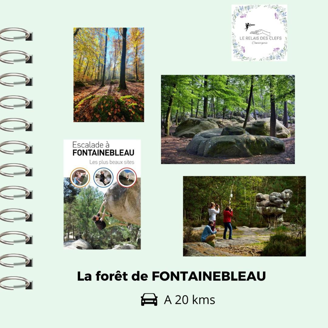 Le Relais Des Clefs - Au Calme Du Gatinais - Escapade A Deux - Terrasse Privee - Wifi - Offre Romantique Sur Demande Valpuiseaux Exteriér fotografie